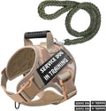 Pet Leash