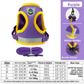 Dog leash on chest harness