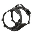 Pet harness