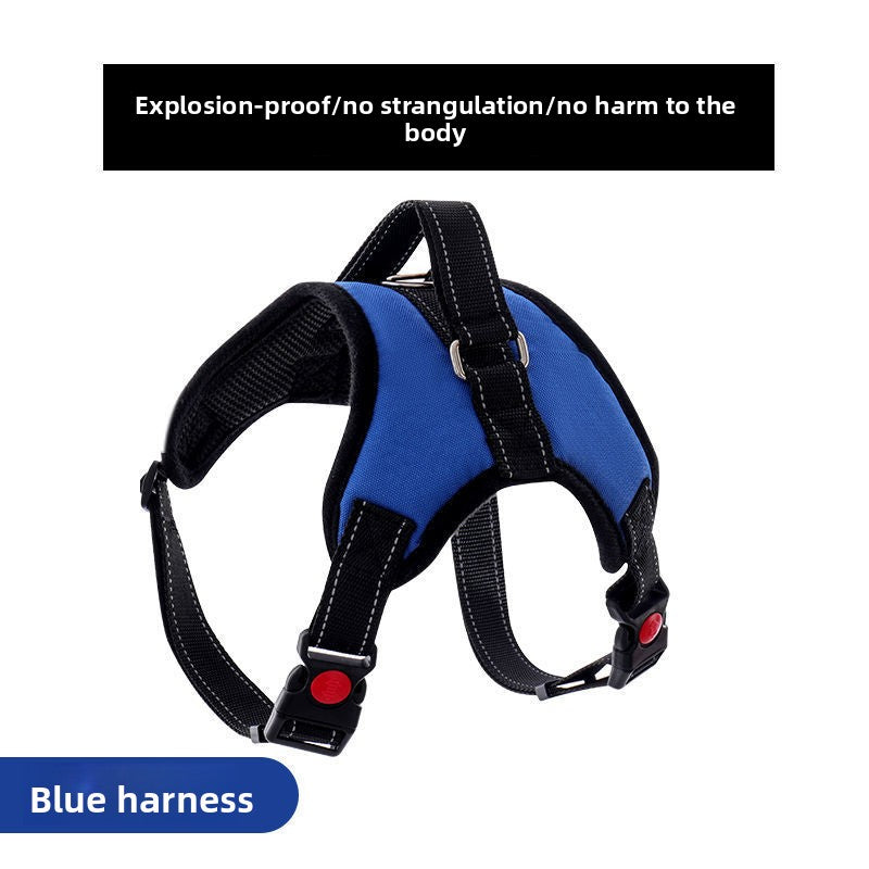 Adjustable Nylon Dog Harness and Leash Set