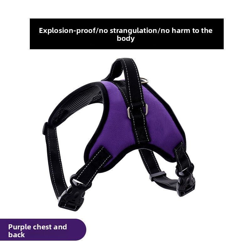 Adjustable Nylon Dog Harness and Leash Set