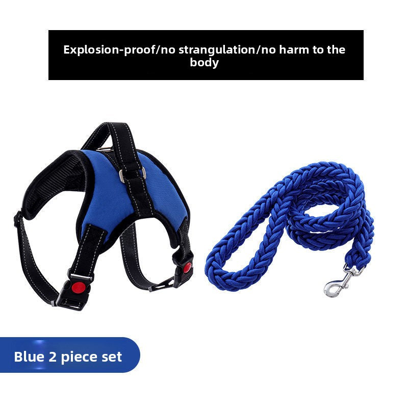 Adjustable Nylon Dog Harness and Leash Set