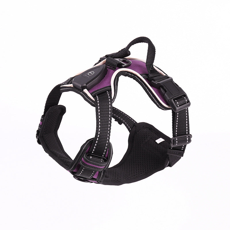 LED flashing dog leash for outdoor use