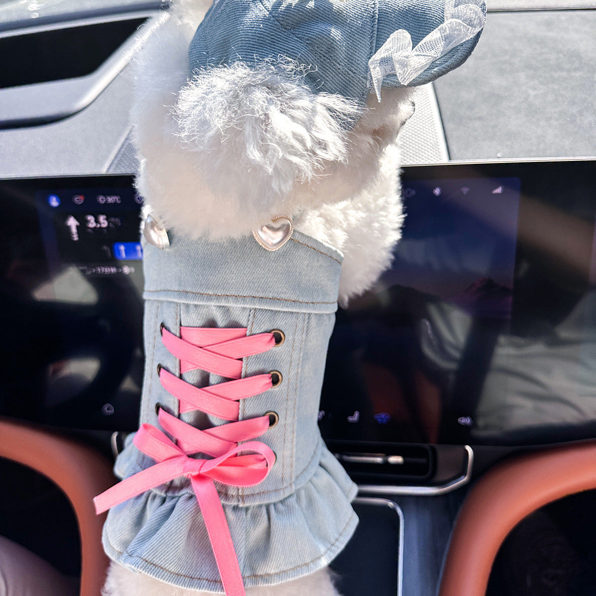Cute Denim Pet Skirt