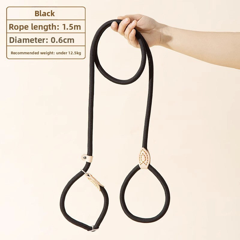 Dog leash
