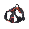 LED flashing dog leash for outdoor use