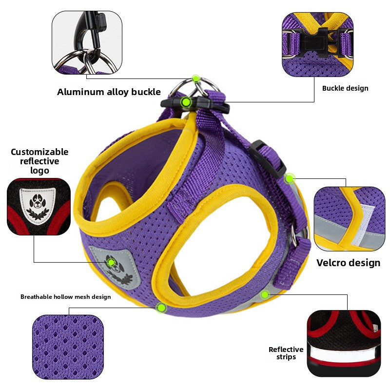 Dog leash on chest harness