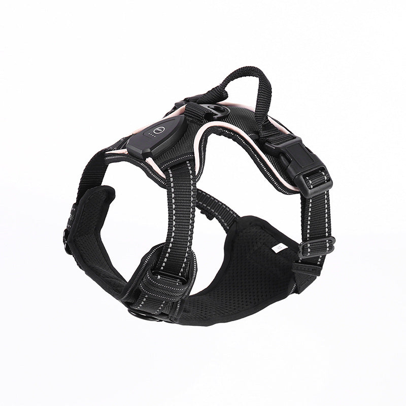 LED flashing dog leash for outdoor use