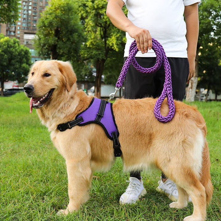 Adjustable Nylon Dog Harness and Leash Set