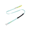 dog harness leash