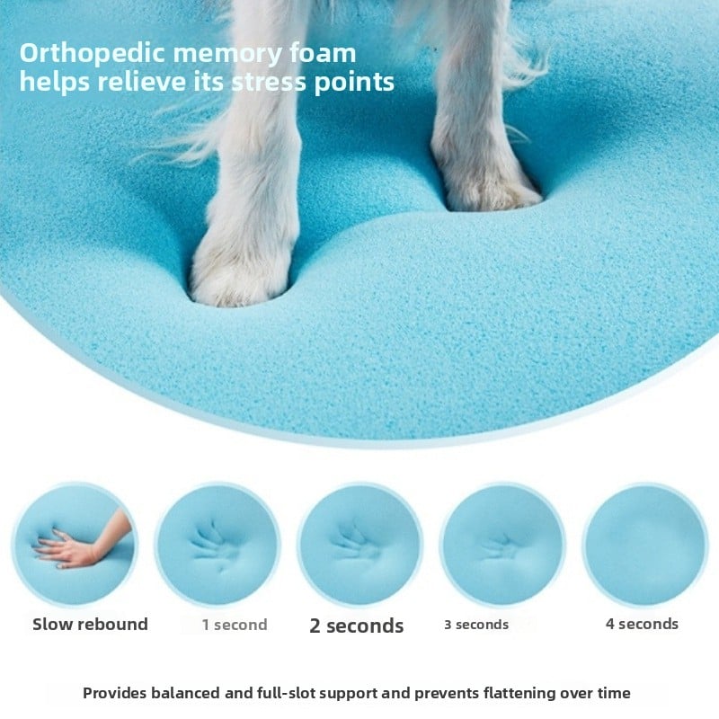 large dog pet products dog