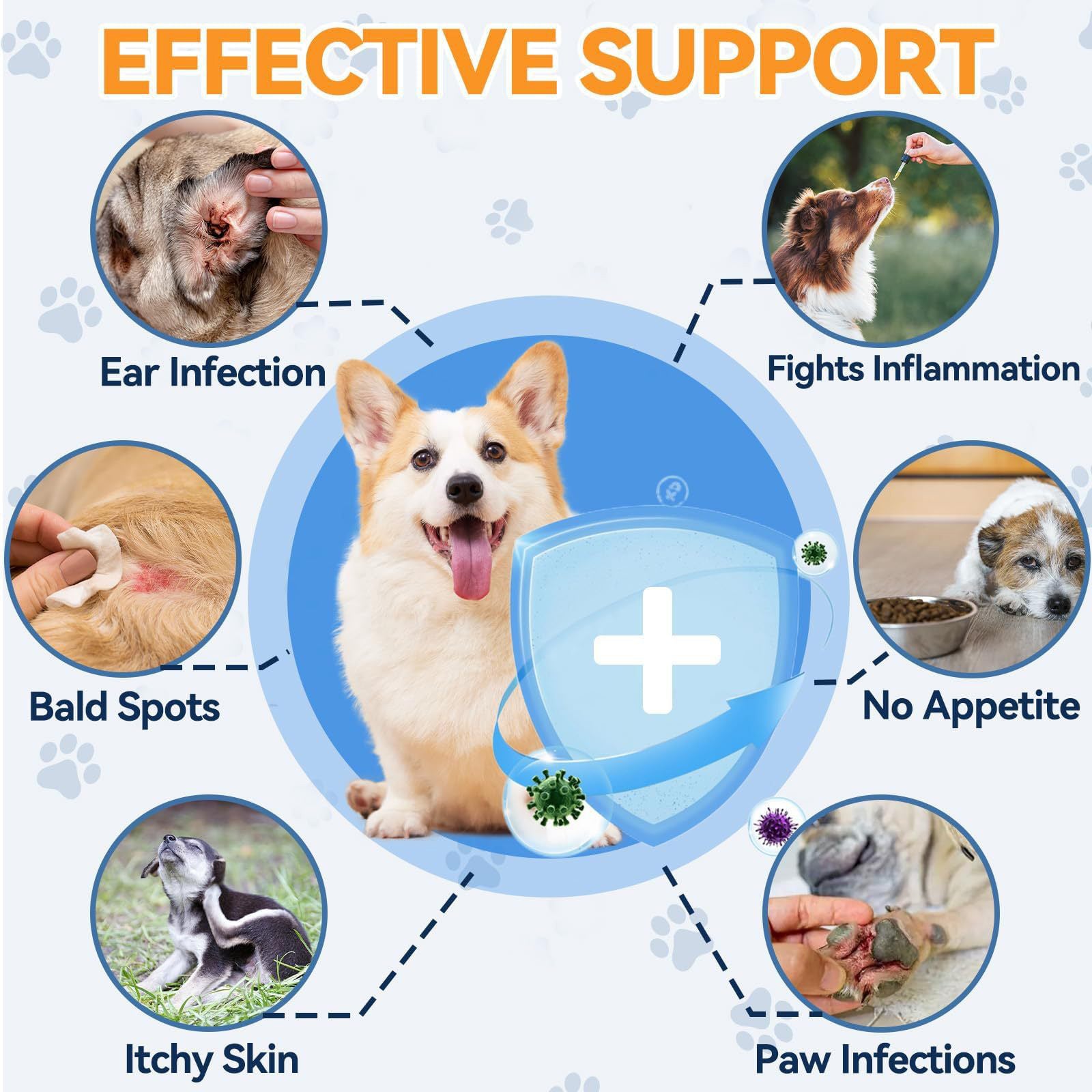 pet vitamin supplement