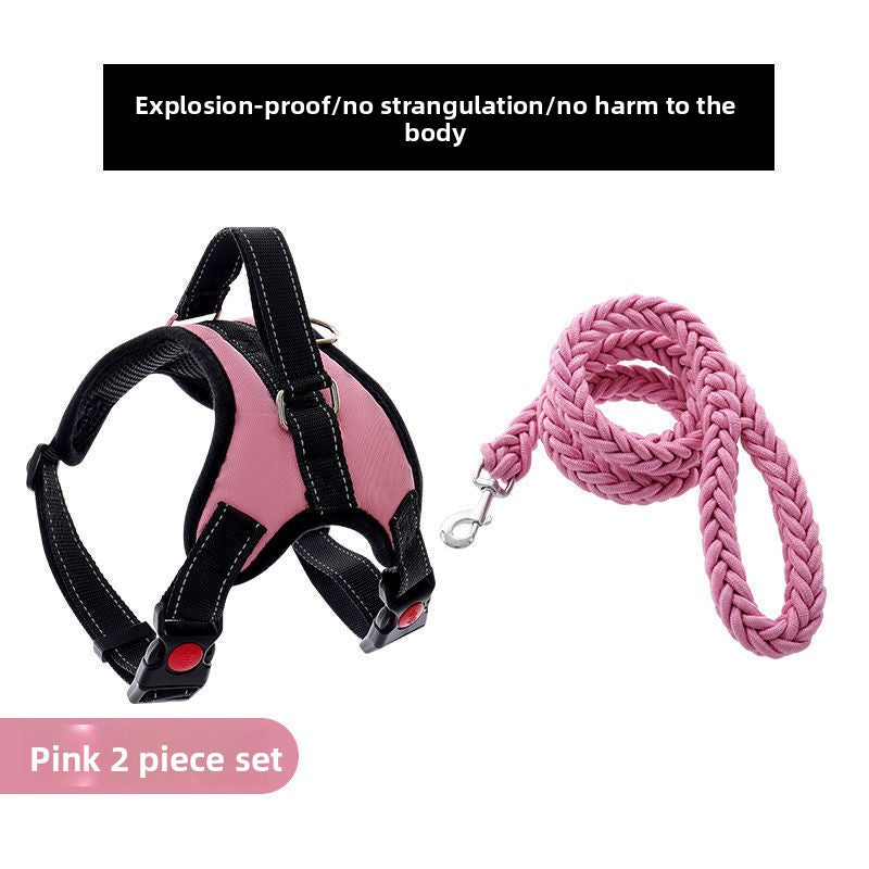 Adjustable Nylon Dog Harness and Leash Set