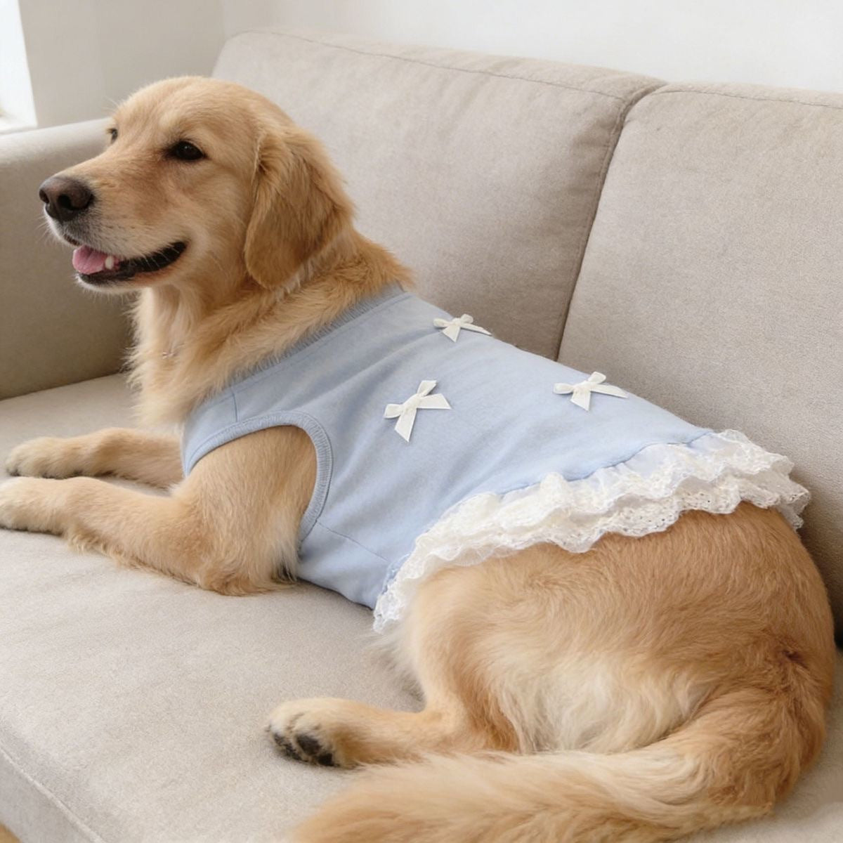 Lace Trimmed Breathable Dog Vest