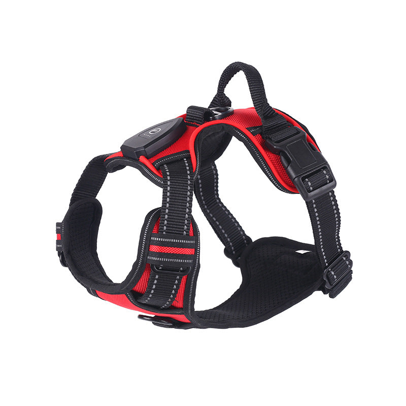 LED flashing dog leash for outdoor use