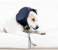 Pet Earmuffs
