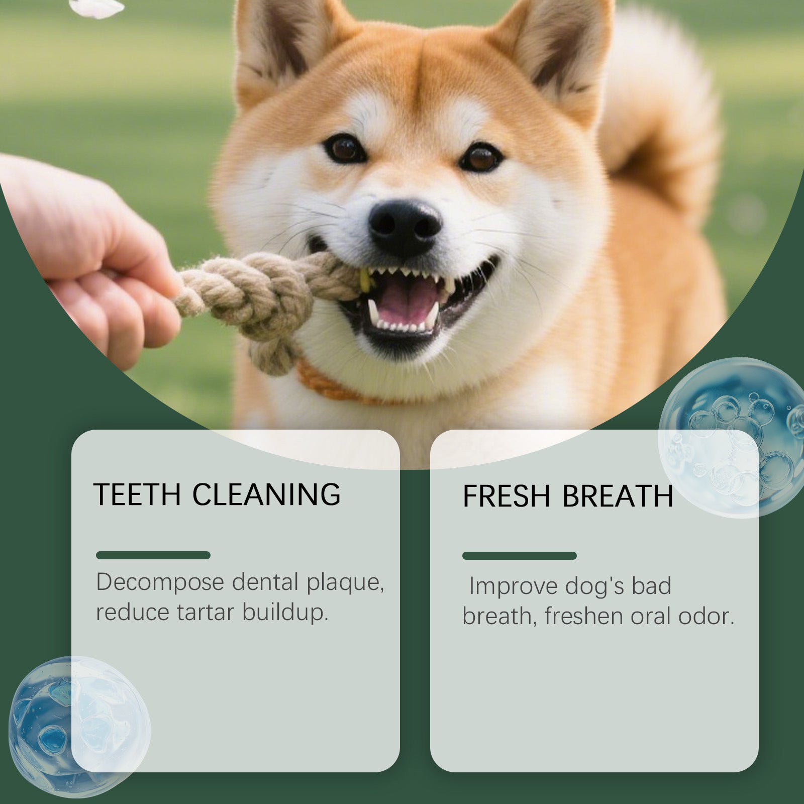Pet Teeth Cleaning Powder for Cats and Dogs