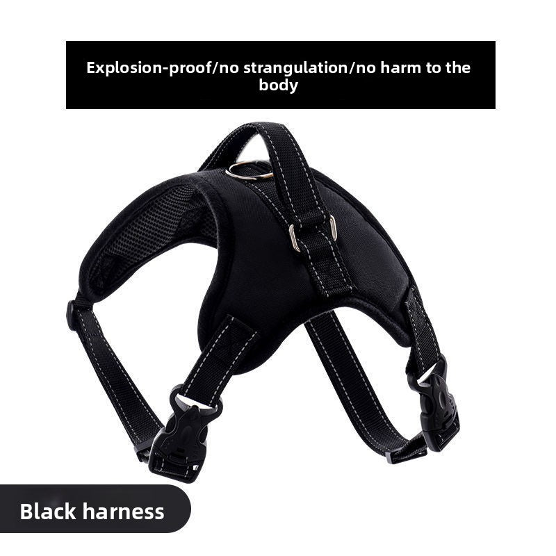 Adjustable Nylon Dog Harness and Leash Set