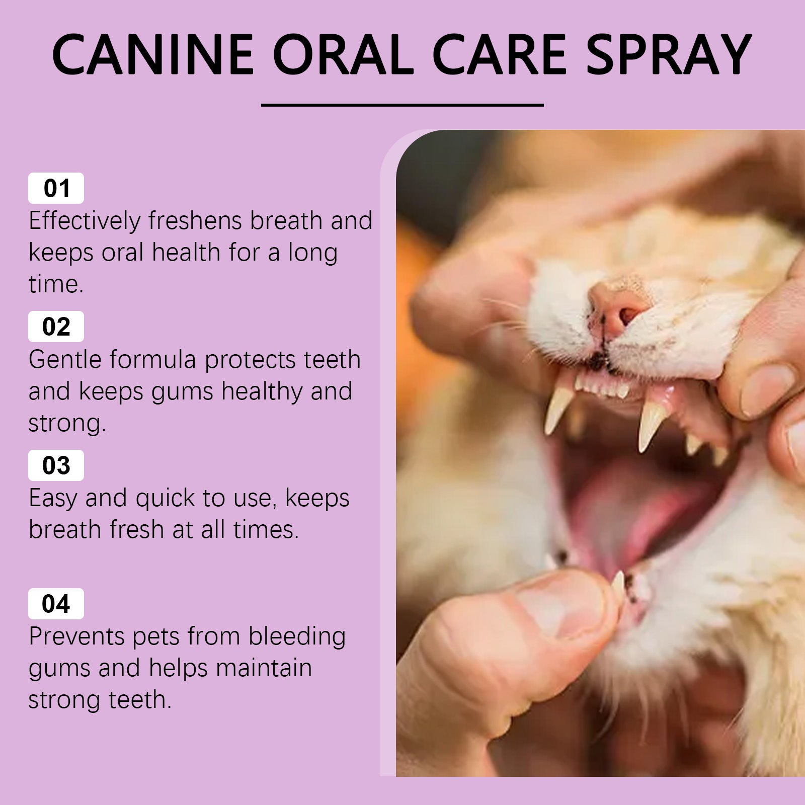 Pet Oral Spray