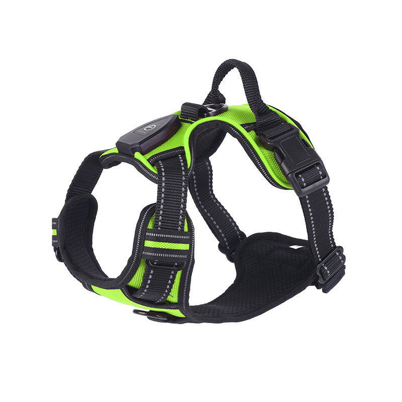 LED flashing dog leash for outdoor use