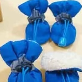 Pet Dog Shoes