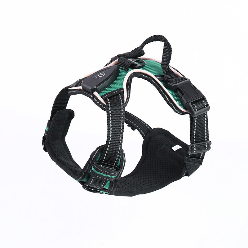 LED flashing dog leash for outdoor use