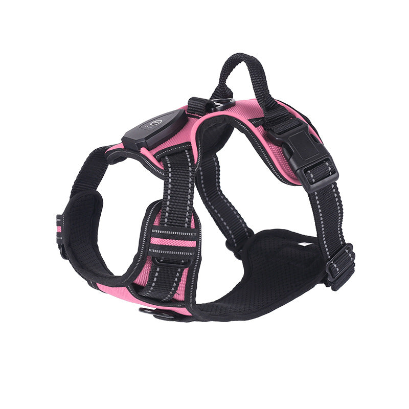 LED flashing dog leash for outdoor use