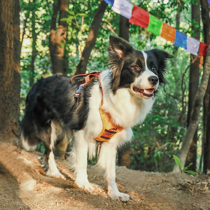 Retractable Vest-Style Dog Harness Leash