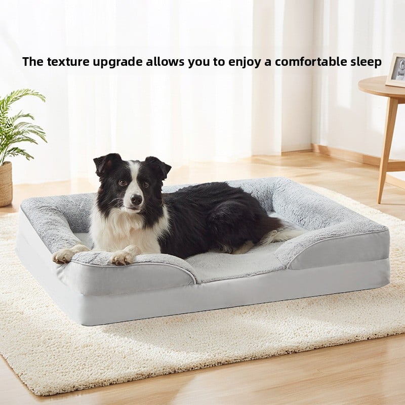 large dog pet products dog
