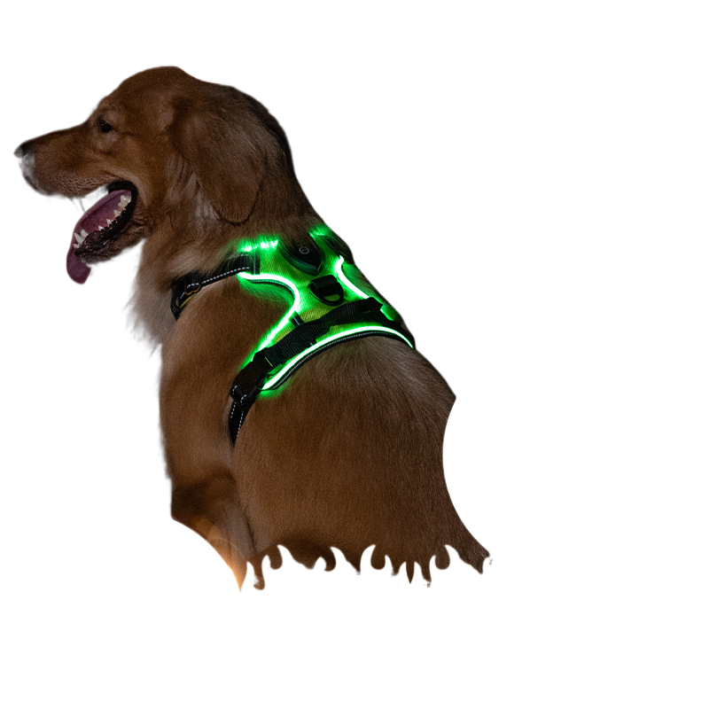 LED flashing dog leash for outdoor use