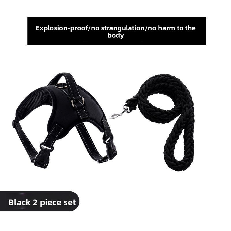Adjustable Nylon Dog Harness and Leash Set