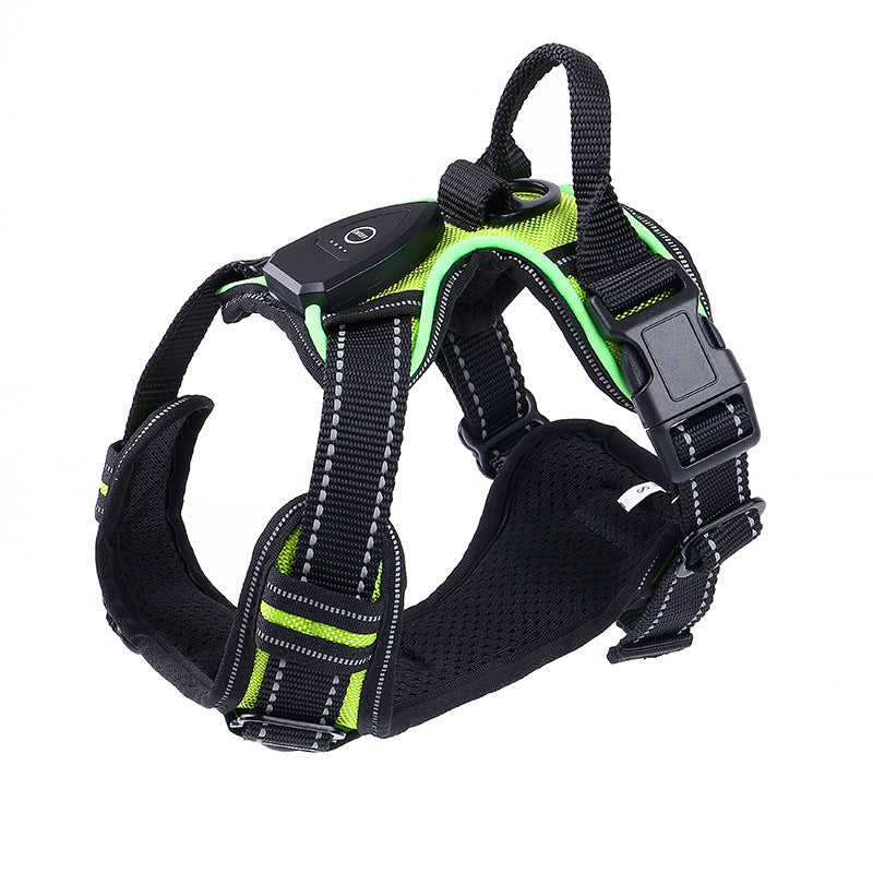 LED flashing dog leash for outdoor use