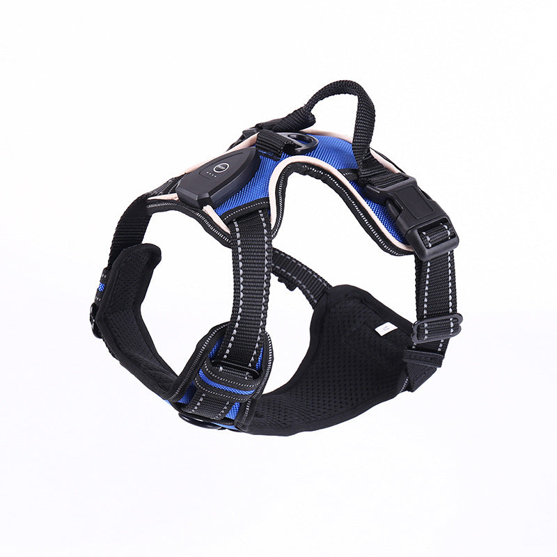 LED flashing dog leash for outdoor use
