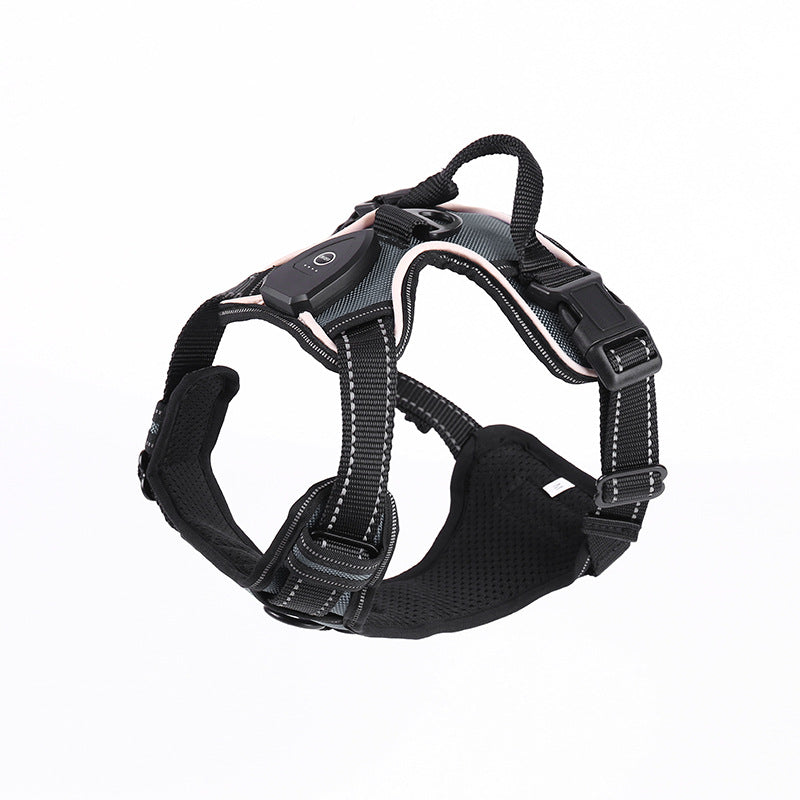 LED flashing dog leash for outdoor use