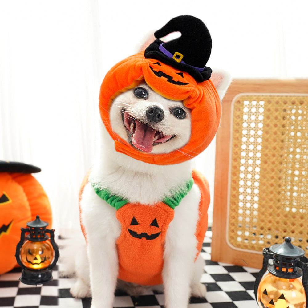 Funny Pet Halloween Christmas Costume for Dogs and Cats