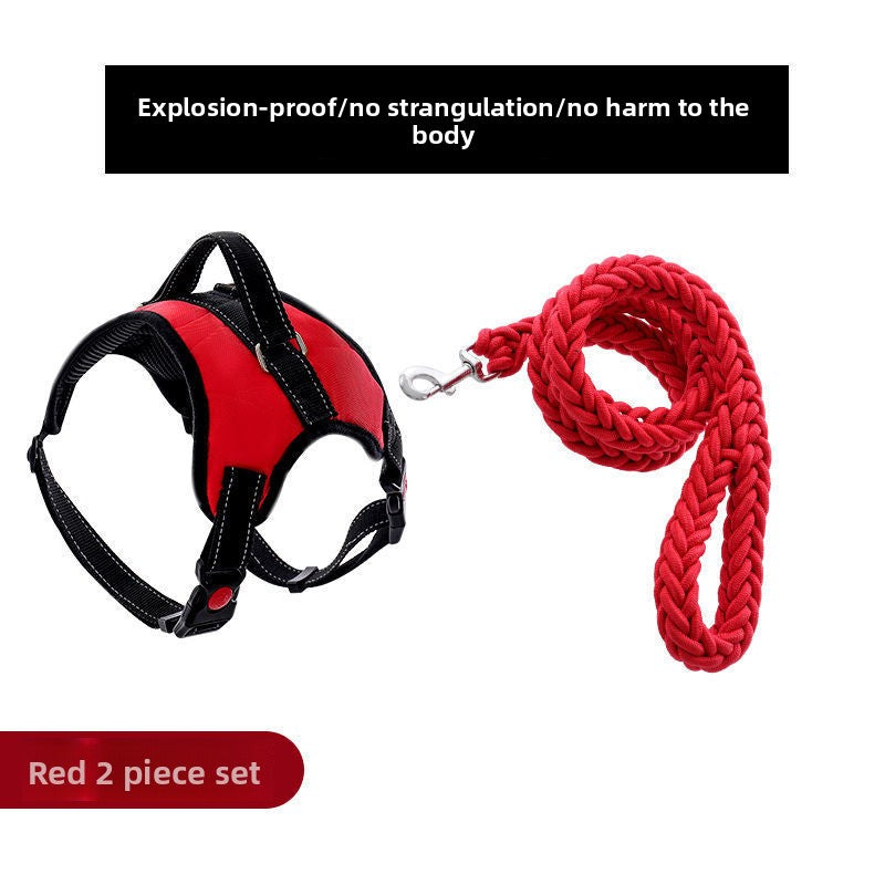 Adjustable Nylon Dog Harness and Leash Set