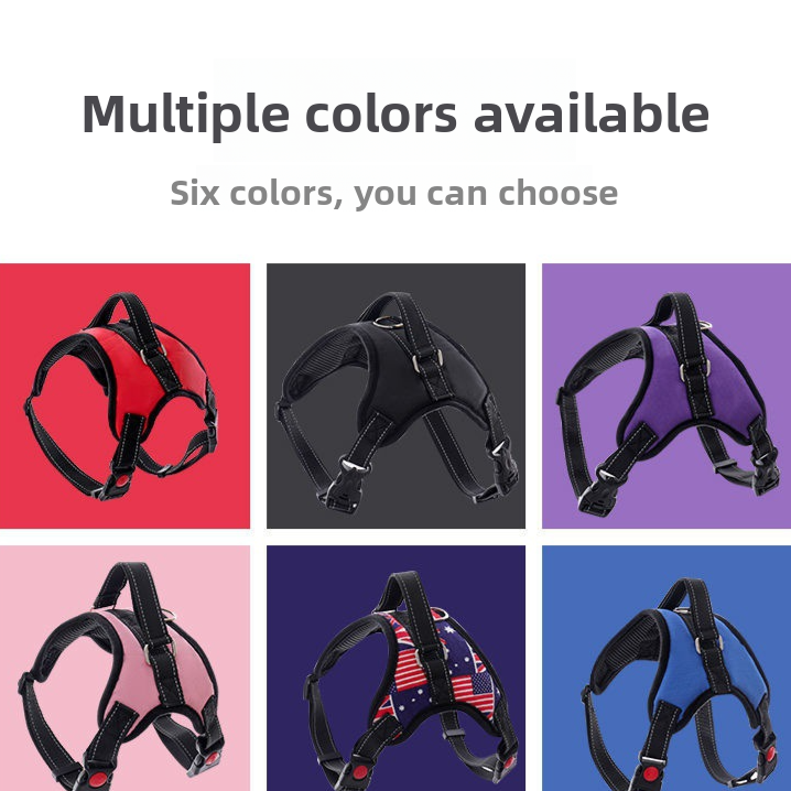 Adjustable Nylon Dog Harness and Leash Set