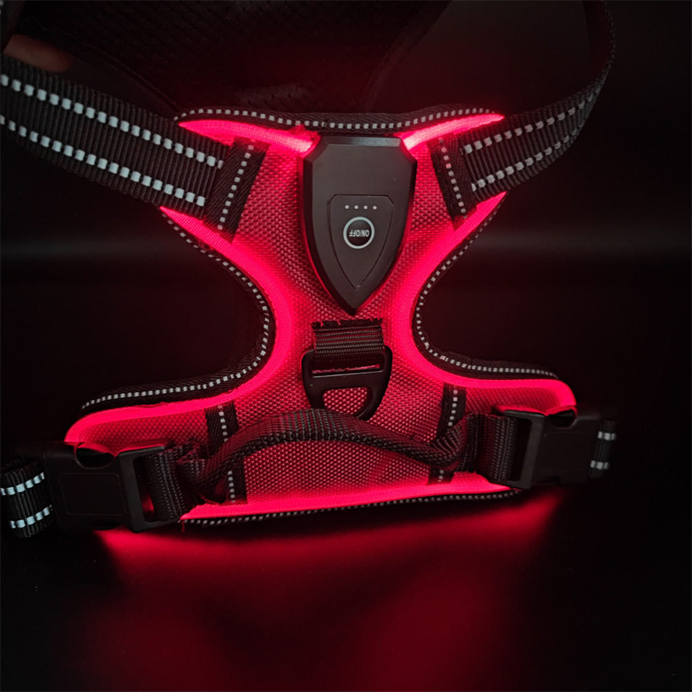 USB Rechargeable LED Light Up Dog Harness Leash