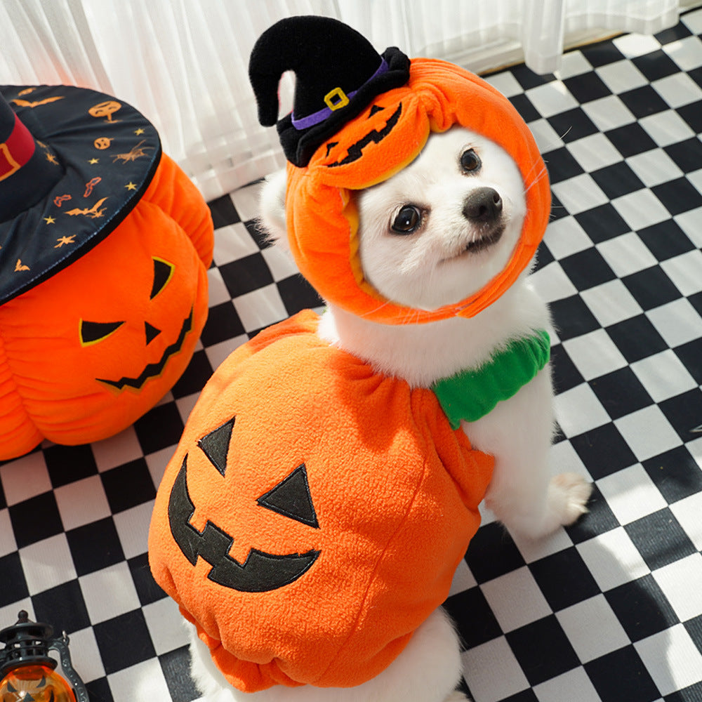 Funny Pet Halloween Christmas Costume for Dogs and Cats