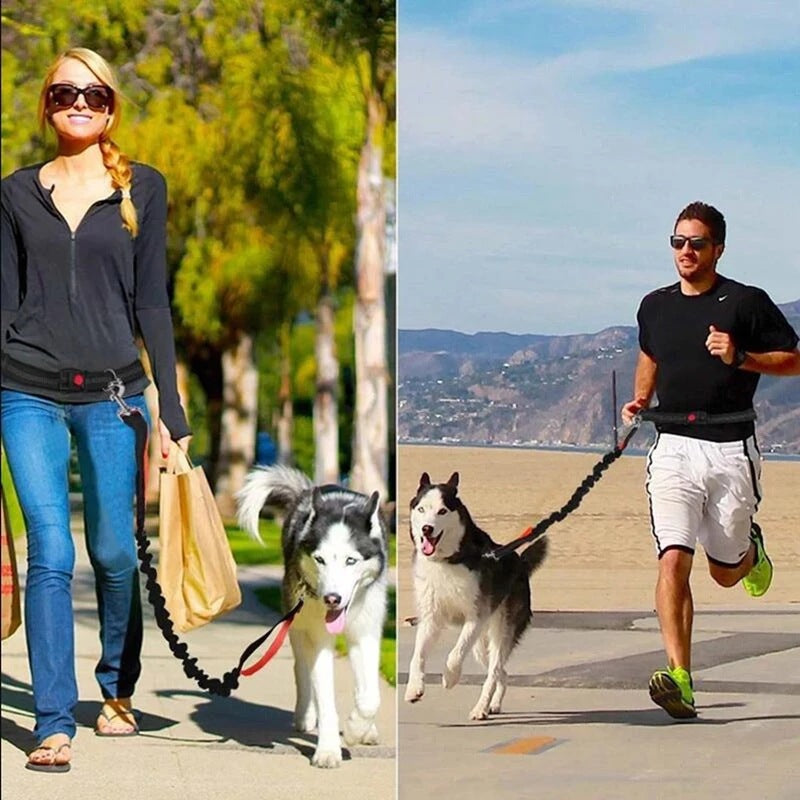 Adjustable Hands-Free Dog Leash with Harness