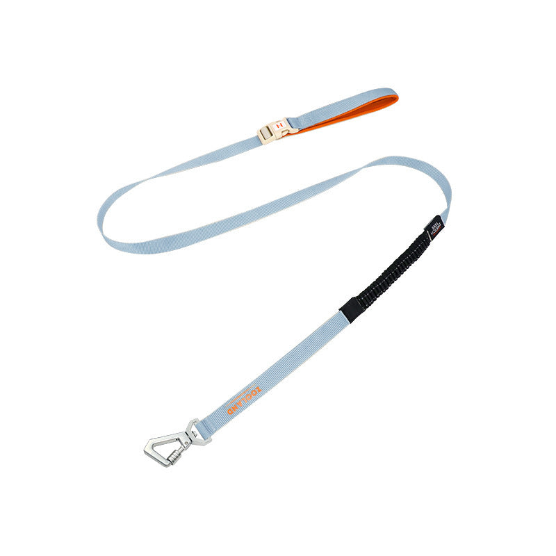 dog harness leash
